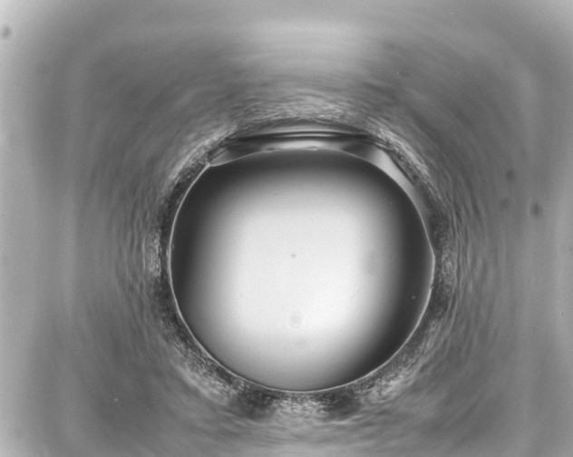 X0000087750403200705141255