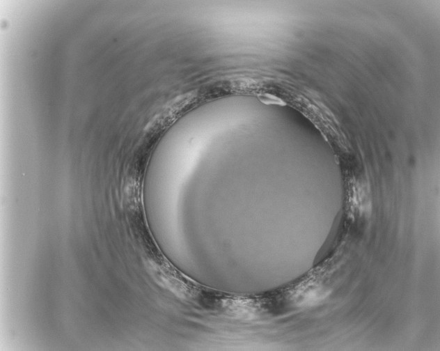 X0000087750419200705141255
