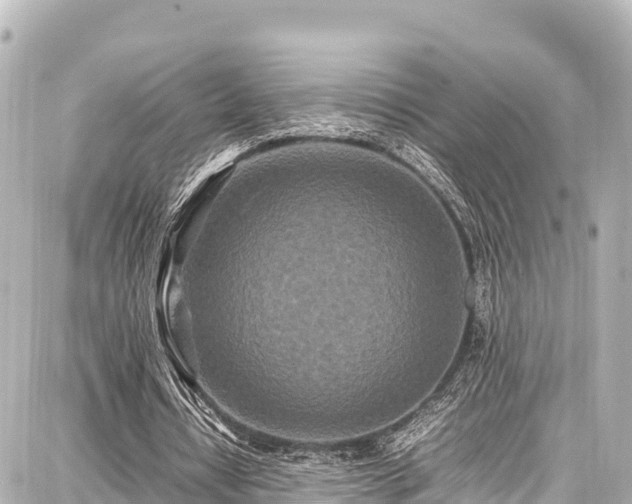 X0000087750434200705141254