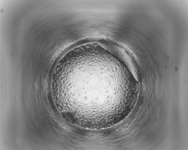 X0000087750487200705141253