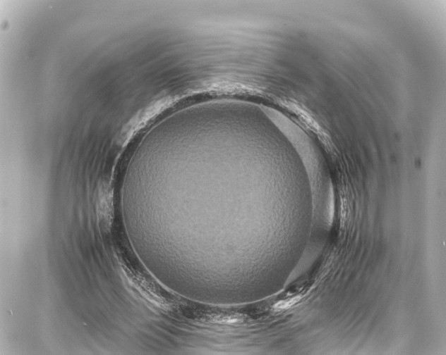 X0000087750488200705141253