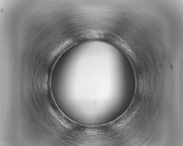 X0000087750490200705141253