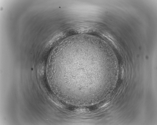 X0000087750499200705141253