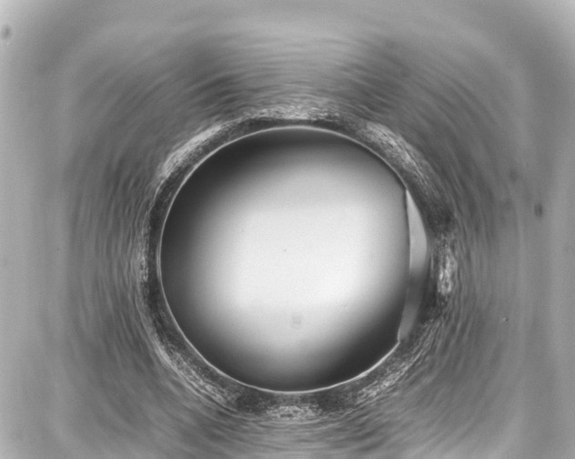 X0000087750536200705141252