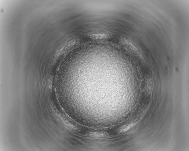 X0000087750545200705141252