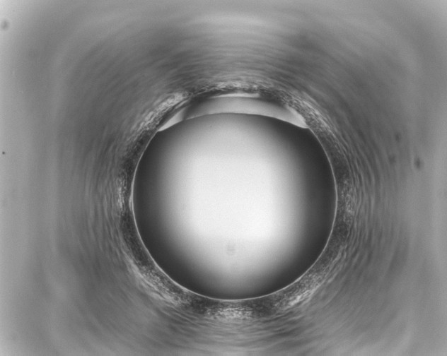 X0000087750546200705141252