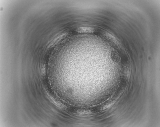 X0000087750549200705141252
