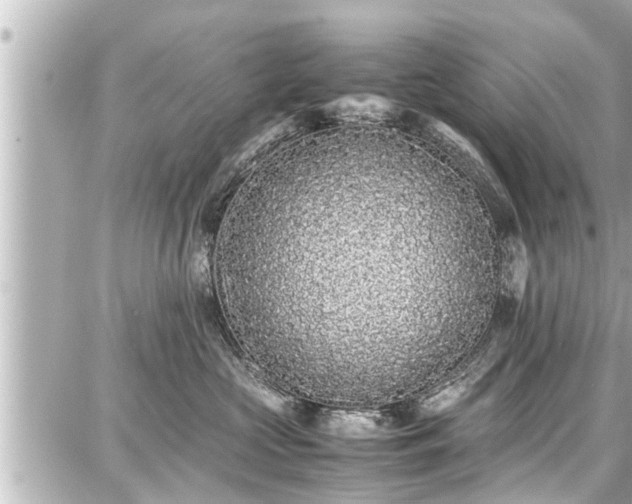 X0000087750573200705141253