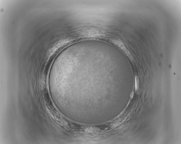 X0000087750579200705141252