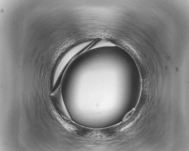 X0000087750589200705141252