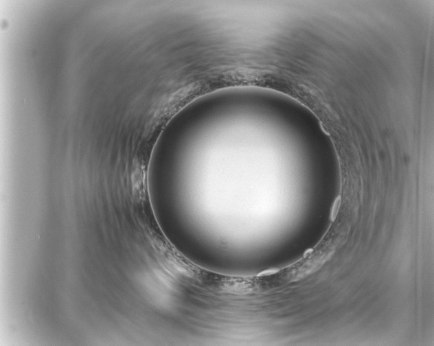 X0000087750624200705141251