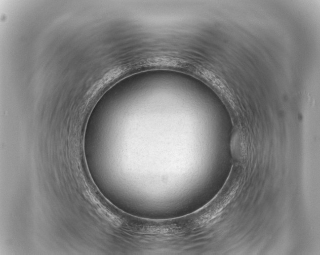 X0000087750625200705141250