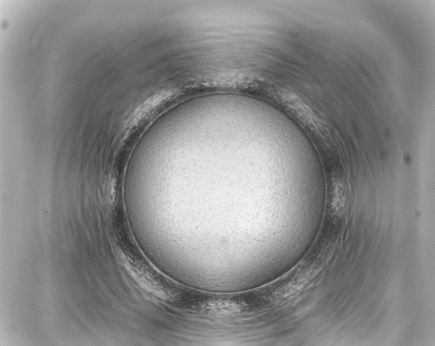 X0000087750636200705141251