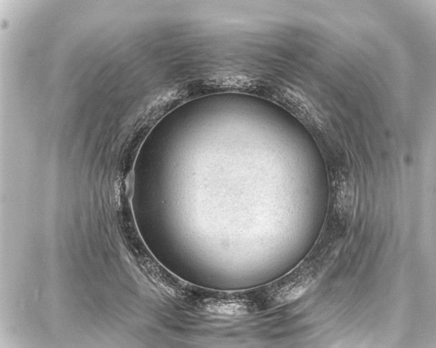 X0000087750643200705141251