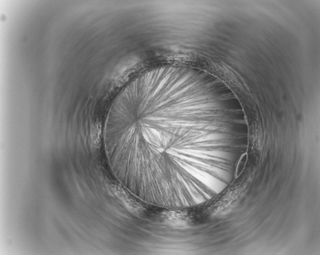 X0000087750660200705141251