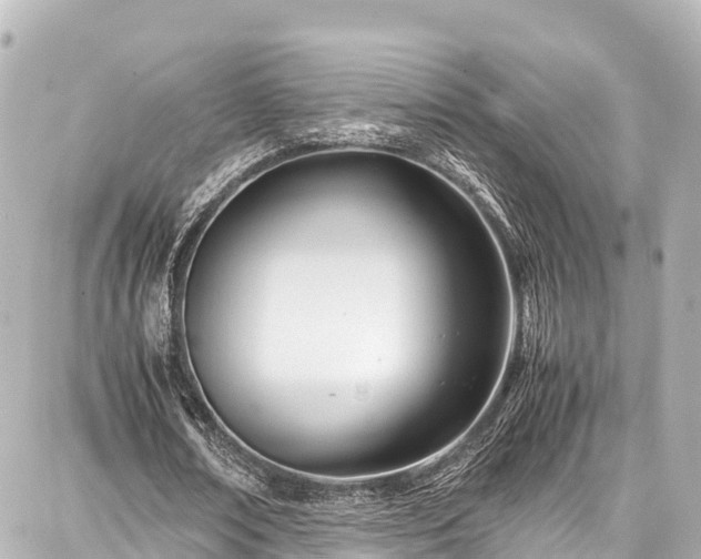 X0000087750674200705141250