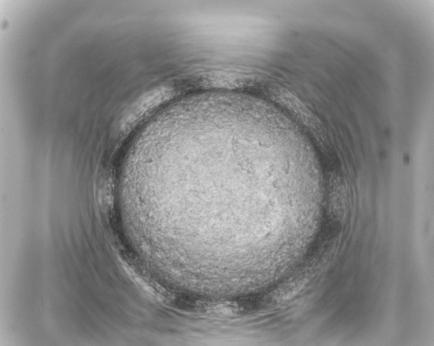 X0000087750683200705141250