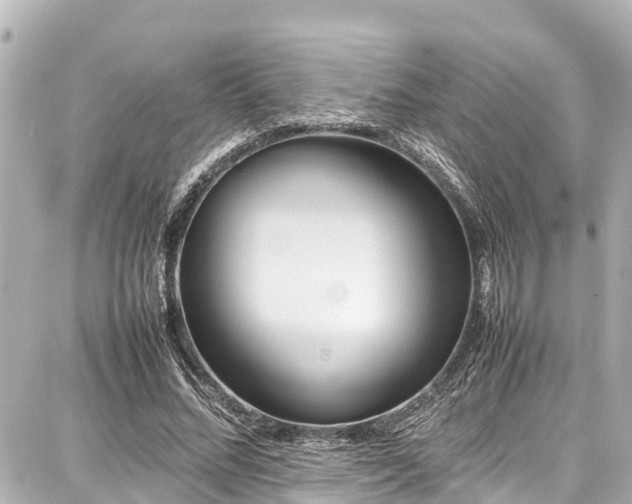 X0000087750684200705141250