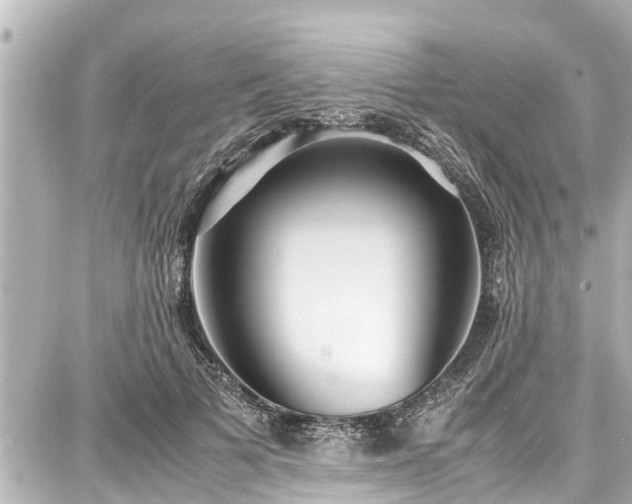 X0000087750697200705141250