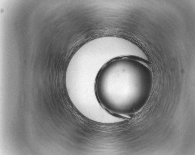 X0000087750720200705141250