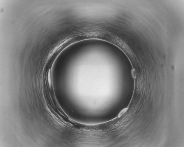 X0000087750722200705141249