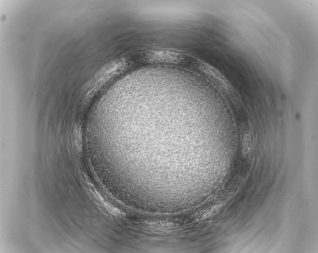 X0000087750729200705141249