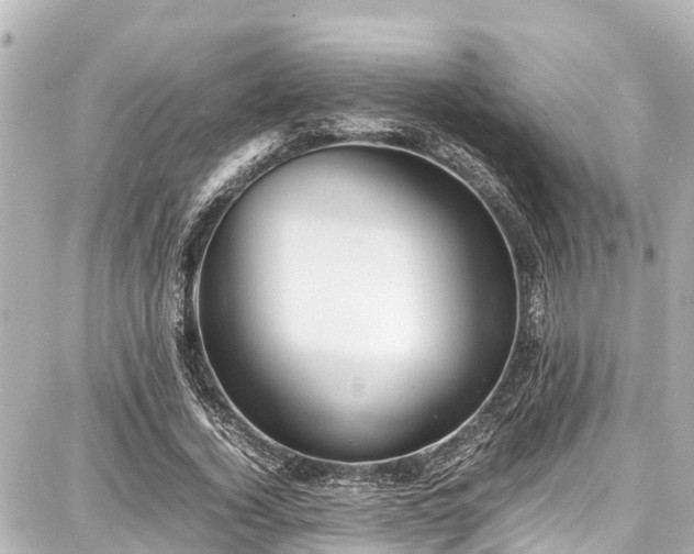 X0000087750732200705141249
