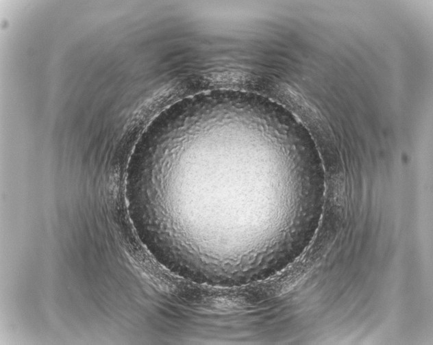 X0000087750737200705141249