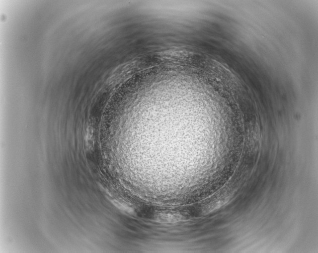 X0000087750749200705141249