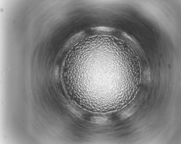 X0000087750765200705141250