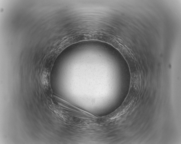 X0000087750770200705141249