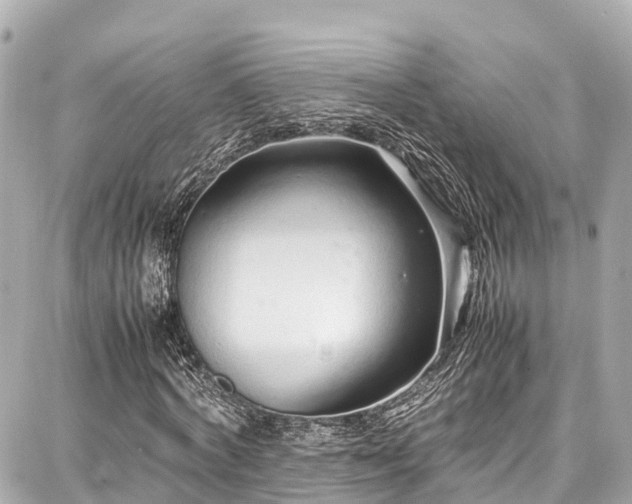 X0000087750772200705141249