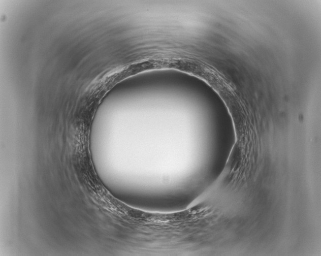 X0000087750773200705141249