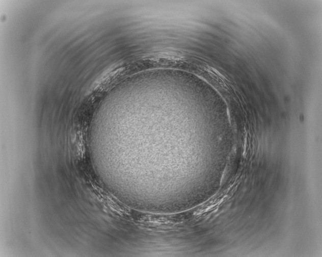 X0000087750774200705141249