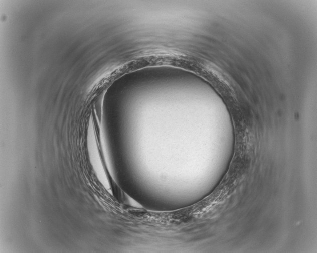 X0000087750775200705141249