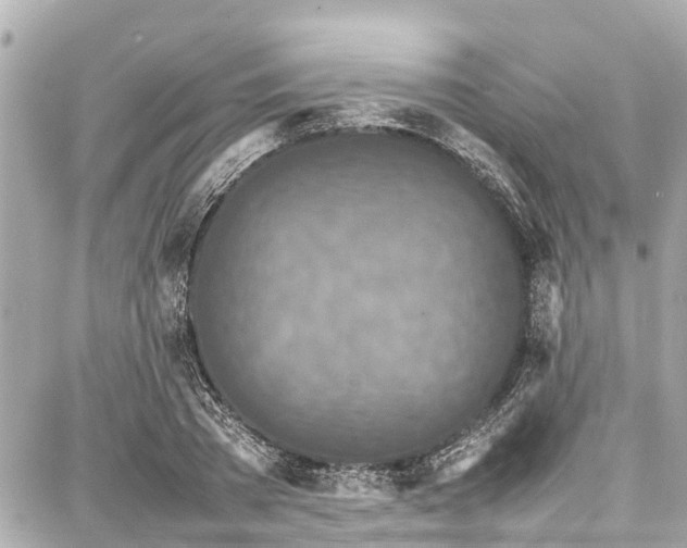 X0000087750785200705141249