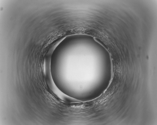 X0000087750818200705141247