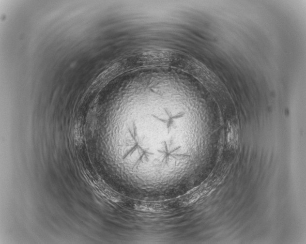 X0000087750819200705141247