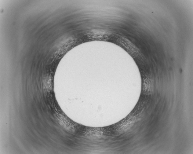 X0000087750820200705141247