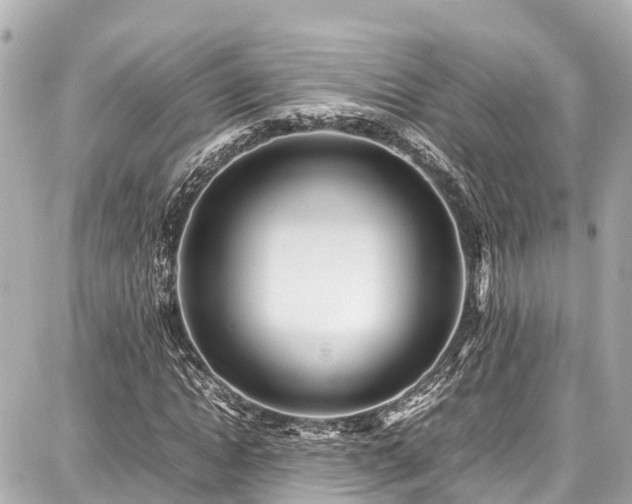 X0000087750822200705141247