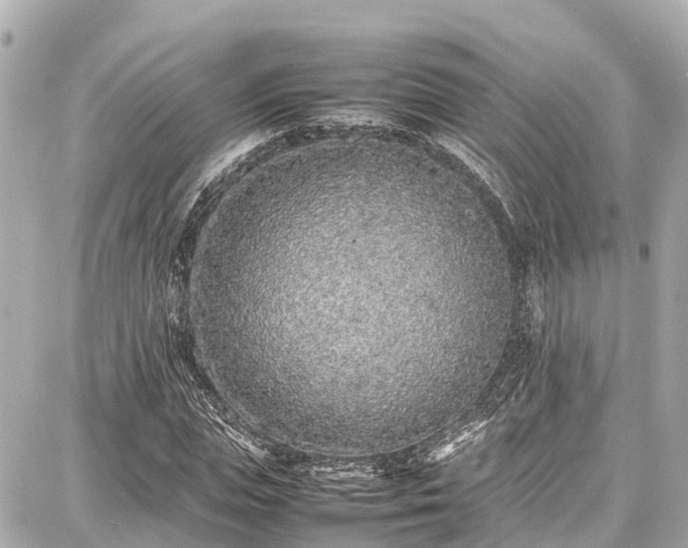 X0000087750823200705141247