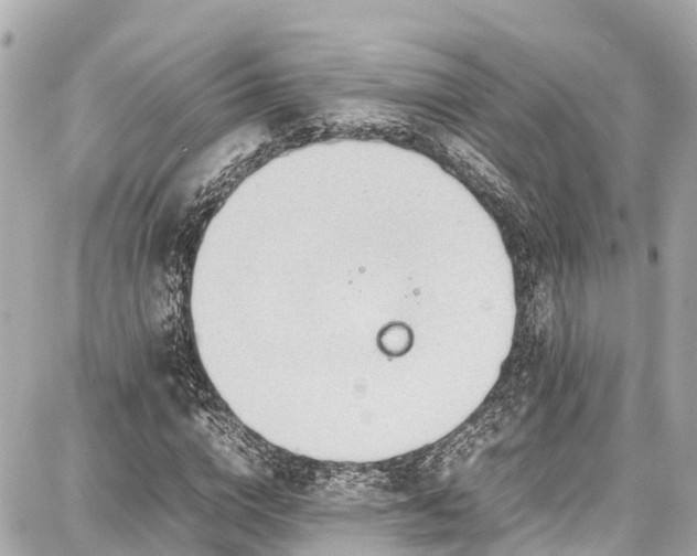 X0000087750824200705141247