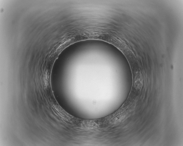 X0000087750866200705141247