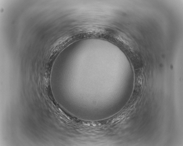 X0000087750869200705141247