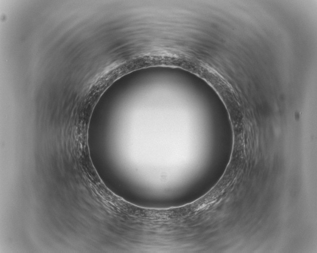 X0000087750870200705141247