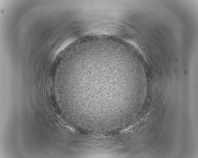 X0000087750871200705141247