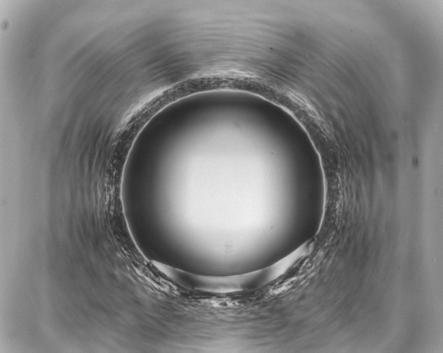 X0000087750872200705141247