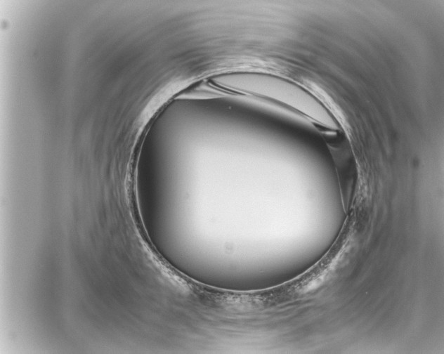 X0000087750901200705141247