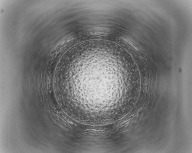 X0000087750917200705141246