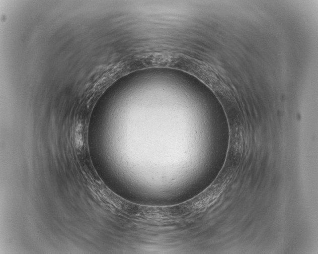 X0000087750962200705141246